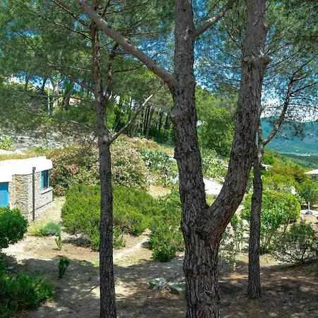 Apartment La Quiete Pila (Livorno)